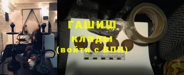 индика Алзамай