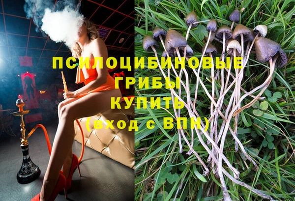 индика Алзамай